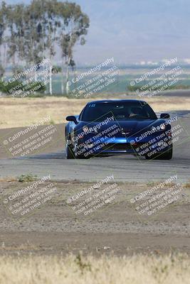 media/May-03-2024-PCA Central Coast (Fri) [[eaa7da0ee1]]/Yellow Group/Session 1 (Grapevine)/